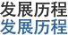 发展历程